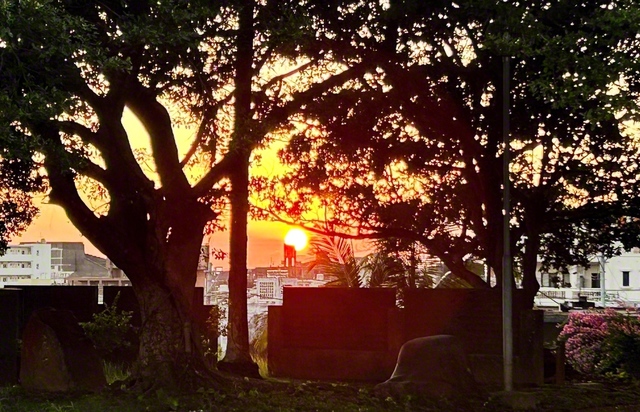名護平和会館とその周辺の街をオレンジ色に染める夕日（10月17日撮影）。完全燃焼し海に沈みゆく光景に心を奪われ、自然とカメラを向けていました。月々日々に同志と共に前進し、自身の広布史にさんぜんと輝く勝利の実証を示したい