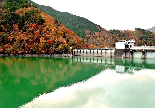南アルプスの清流が流れ込む井川湖。「昭和32年」のダム建設によって誕生した人造湖の周辺で秋の装いが深まっていた。自然の織り成す色彩美を前に、感謝と決意を込めてシャッターを切った（12日、静岡市葵区で）