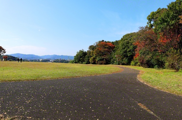 【八王子市　片倉つどいの森公園】　晴れた日には、開放感のある広場から周囲の山々を望むことができます。公園の近辺には、市民に親しまれる憩いの場もあり、来年は、八王子文化会館の近くに複合施設「桑都の杜」が誕生予定。オープンが楽しみです（松浦令子）