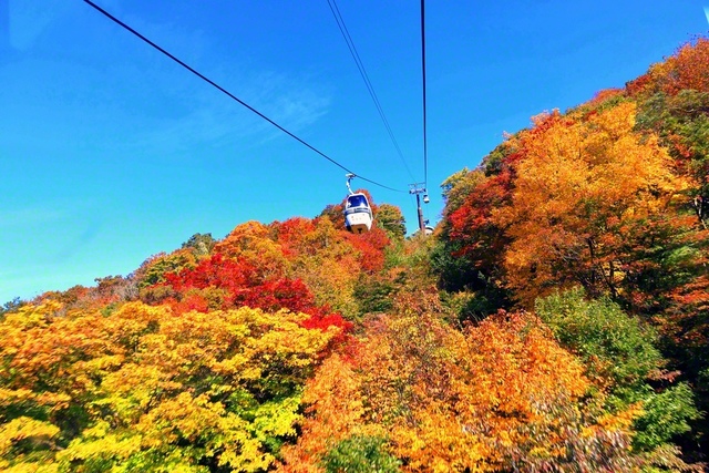 ゴンドラに乗って空中散歩