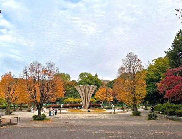 季節の移ろいを感じようと、高島平団地の近くにある赤塚公園へ。足元に敷き詰められた落ち葉が風に吹かれて、“秋の薫り”を運びます。静かな夕暮れ時――大都会の喧騒を離れて、穏やかな時間が流れていました（中野幸夫）