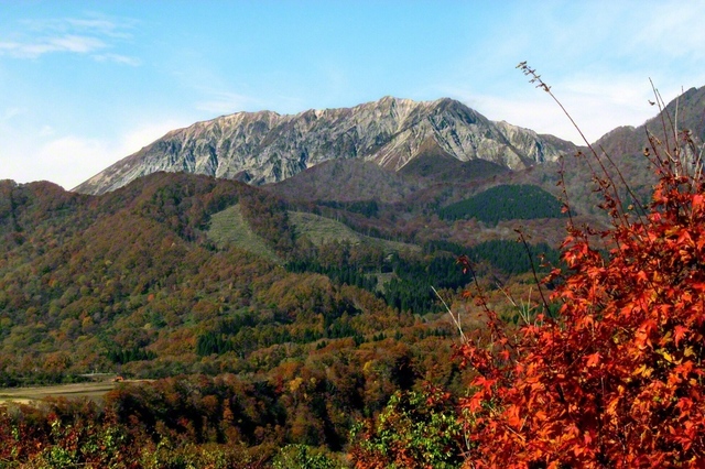 江府町から“伯耆富士”大山を望む（西村浩）