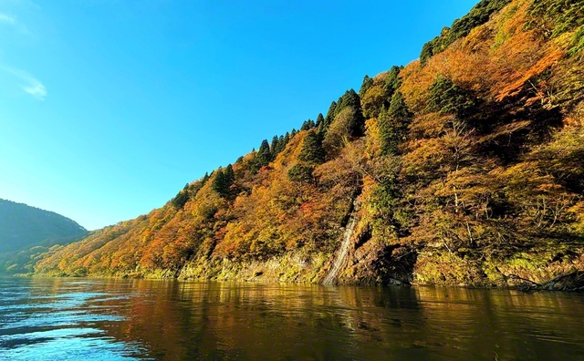戸沢村、最上川舟下り