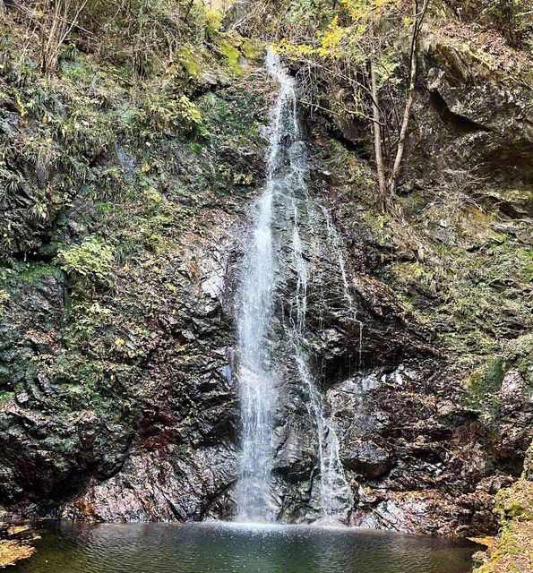 東京都で唯一の「日本の滝百選」に選ばれている名瀑。厳冬期には美しく結氷することでも知られています。都会の騒がしさを離れ、心も体もリフレッシュできる場所です（本戸康予）