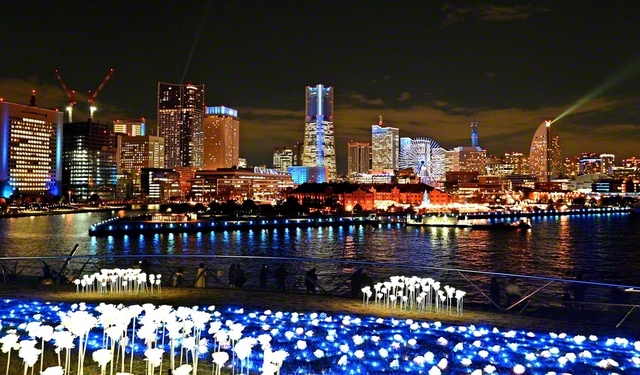 日本新三大夜景都市に選ばれた横浜では、国内最大級のイルミネーションイベント「ヨルノヨ2025」が開催中（30日まで）。“飛翔の年”も残り20日。自分史に輝く前進が、創価の未来を照らす（9日）