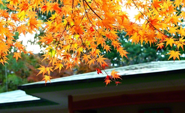 熱海市・静岡研修道場で