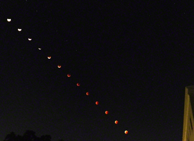 終戦・被爆80年となった本年。学会の平和運動の原点である9・8「原水爆禁止宣言の日」に皆既月食が観測された。9月8日は、小説『新・人間革命』の新聞連載が完結した日でもある。“躍動の年”も常に胸中の師と対話し、共戦の歴史をつづりたい（埼玉文化会館で撮影＝埼玉支局、写真13枚を比較明合成）