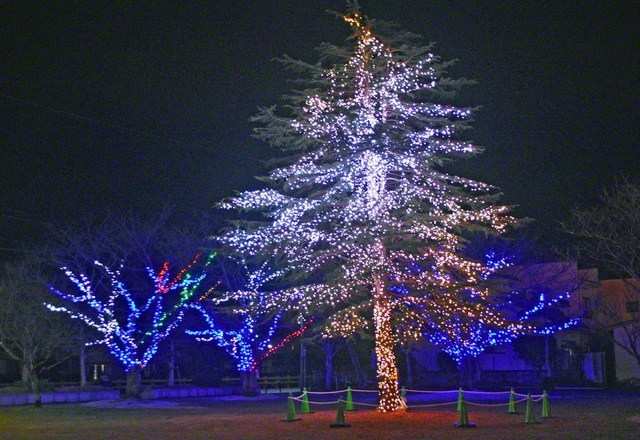 JR浜田駅周辺のイルミネーション。街路樹に付けられた1万個以上のLEDライトが、夜の空を彩る（明年2月28日まで）