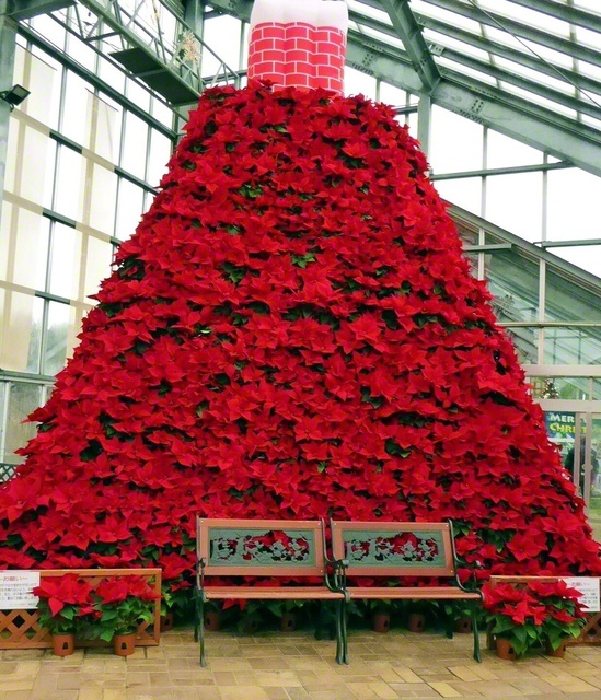 潟上市のポインセチアタワー