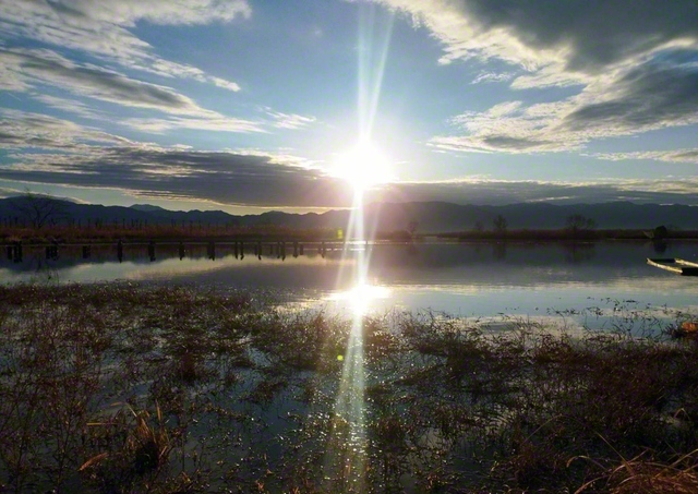 新潟市　福島潟に降り注ぐ朝日