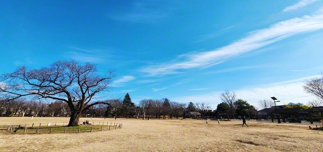 戦前は軍需工場、戦後は米軍の住宅地として利用された跡地。地元住民の要望もあり、1989年6月に公園として生まれ変わりました。休日には、多くの人でにぎわいます（岩井年樹）