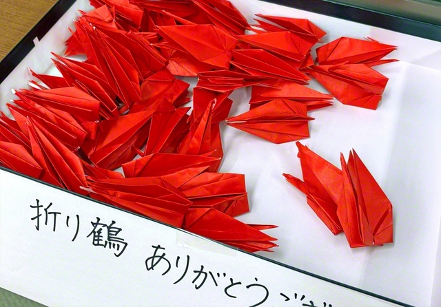 同志が折った鶴。平和への思いが込められている