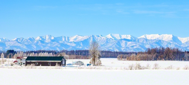 氷点下10度のいてつく朝。霧氷をまとった木々の向こうに日高山脈がくっきりと（2月3日、更別村、青木洋一）