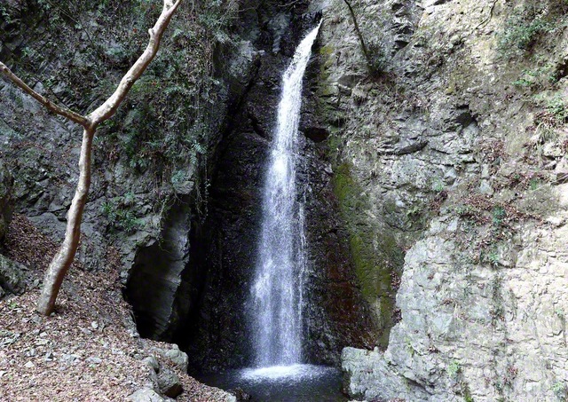 三好市の名瀑「龍頭の滝」