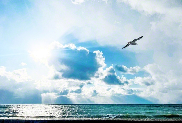 どんなに分厚い雲があろうとも、君を照らす太陽は、さんぜんと輝いている（1月14日、伊達市、齊藤奈美子通信員）