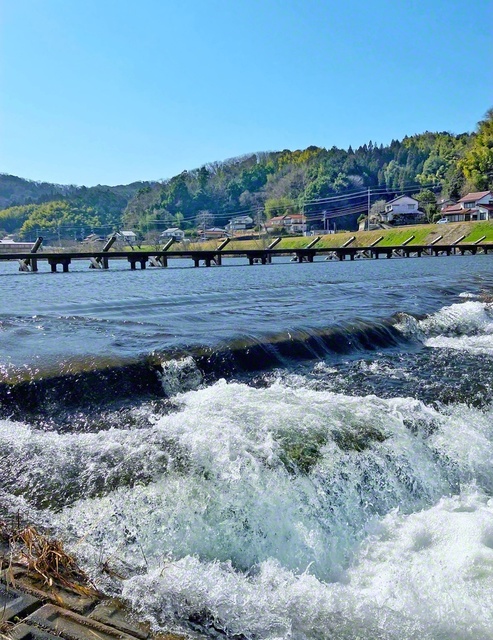 願い橋（潜水橋）は、斐伊川増水時に沈む。近接する桜並木は、「日本さくら名所百選」に認定されている