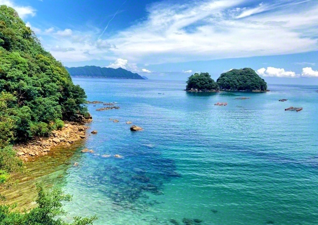水床湾の海