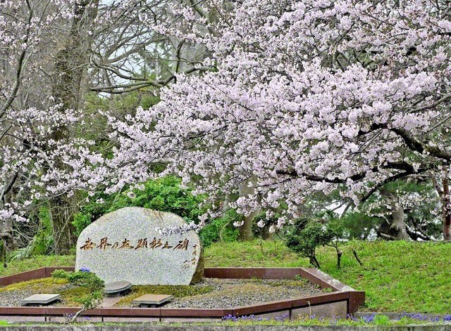 桜の開花とともに、今年も滋賀研修道場の「4月」が巡り来た（1日撮影）