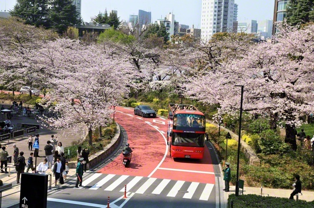 【港区】東京ミッドタウンでは約100本の桜が一斉に花開き、多くの人が春の訪れを楽しんでいました。いくつになっても、桜の季節は“新鮮な気持ち”になれます。冬を耐えて咲く姿に勇気をもらい、新しい挑戦の日々をと決意しました（藤木広幸）