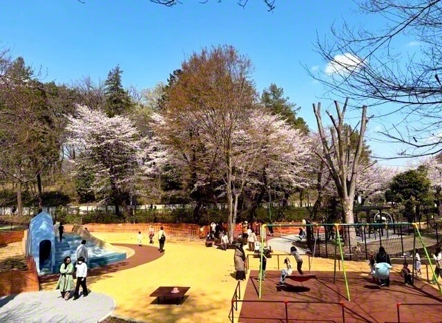 公園内に3月、新しいエリアが誕生！　障がいの有無や国籍などにかかわらず、あらゆる子どもたちが一緒に遊べる“インクルーシブな遊具”が設置されています。満開の桜の中、子どもの笑顔が輝いていました（飯田さとみ）