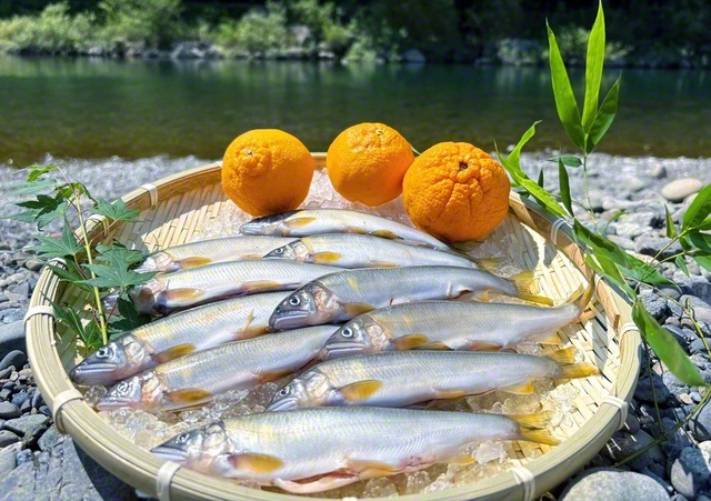 【徳島・勝浦町】勝浦川の天然アユと、かんきつの「不知火（しらぬい）」。町は温州ミカンの生産量が県で最も多く、四国で初めて化石が採掘された“恐竜の町”でもある