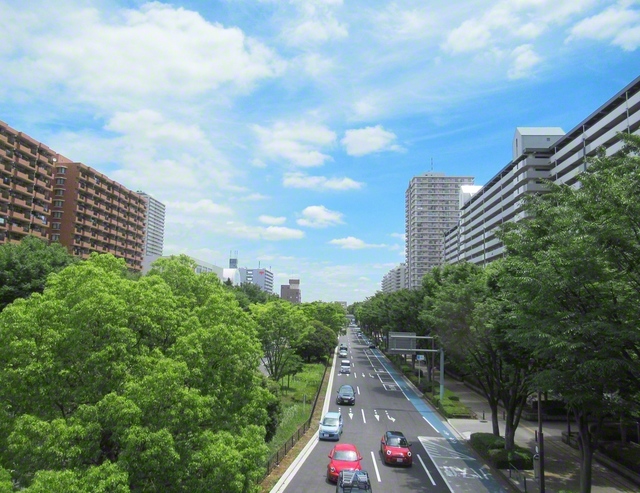 練馬区の光が丘地域は第2次世界大戦後、米軍の家族宿舎「グラントハイツ」に。1973年に全面返還され、広大な跡地は「光が丘団地」や「光が丘公園」などに生まれ変わり、発展を続けています（田藻房美、茂住弘幸、伊藤肥子）