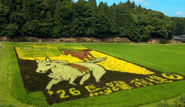 7月23日、越前町