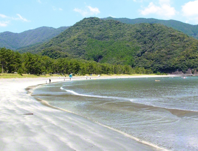 【波当津海岸（佐伯市）】「日本の白砂青松100選」にも選ばれた海岸（8月2日撮影＝水沼倫弘通信員）