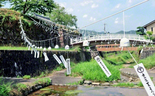 （7月25日、豊岡市内、竹内工己通信員撮影）