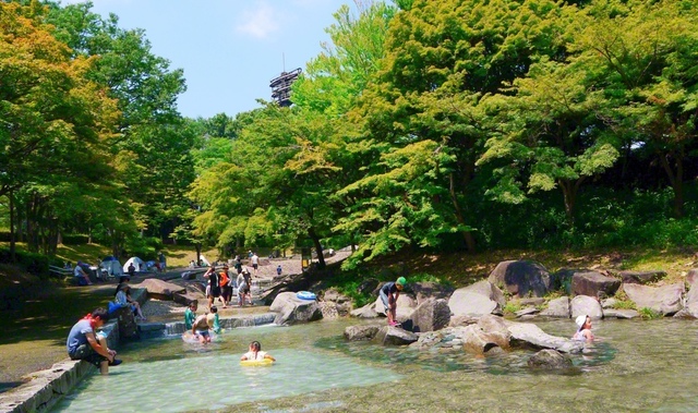 【多摩市　一本杉公園】夏になると「流れ」と呼ばれる人工の小川が解放され、子ども連れでにぎわいます。周囲にはテントが並び、まるでリゾート地にいるような気分に。「多摩よこやまの道」沿いにある緑豊かな公園です（小嶽潤子）