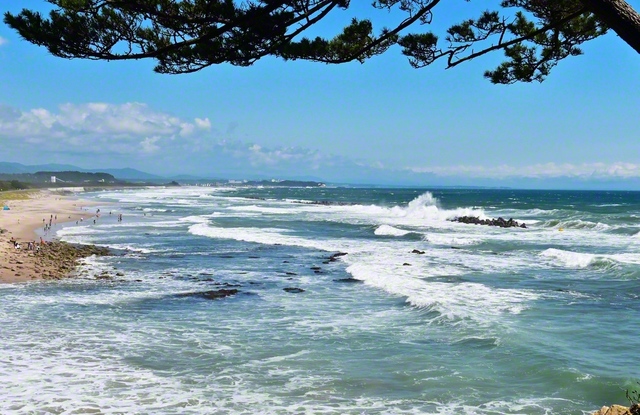 ウミウの飛来地として有名な日立市の伊師浜海水浴場。青々とした美しい景観が広がる（8月撮影、佐川正洋通信員）