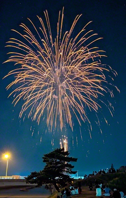 見る人の心を打つ花火（北栄町内で）