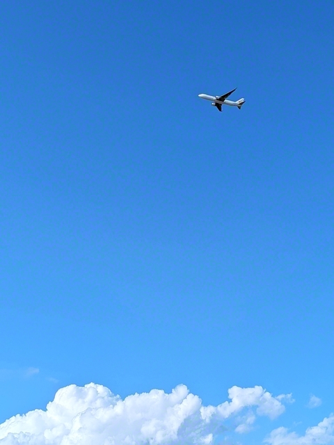 澄み渡る青空を悠然とゆく飛行機。高く飛べるのは向かい風があるから。悩みに立ち向かい、喜びの飛翔を！（函館市、浦田かおり通信員）