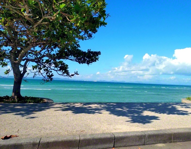 青い空、心地よい風。うるま市の海中道路から望む海岸線を撮影しました。海中道路の休憩所では、地元の方とふれあうひとときを過ごしました。心も晴れ晴れと前進したいですね（撮影＝大城光枝通信員）
