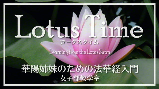 聖教新聞 ユース特集