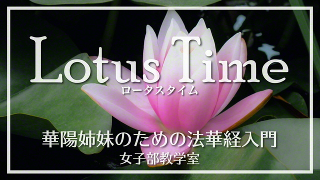 聖教新聞 ユース特集