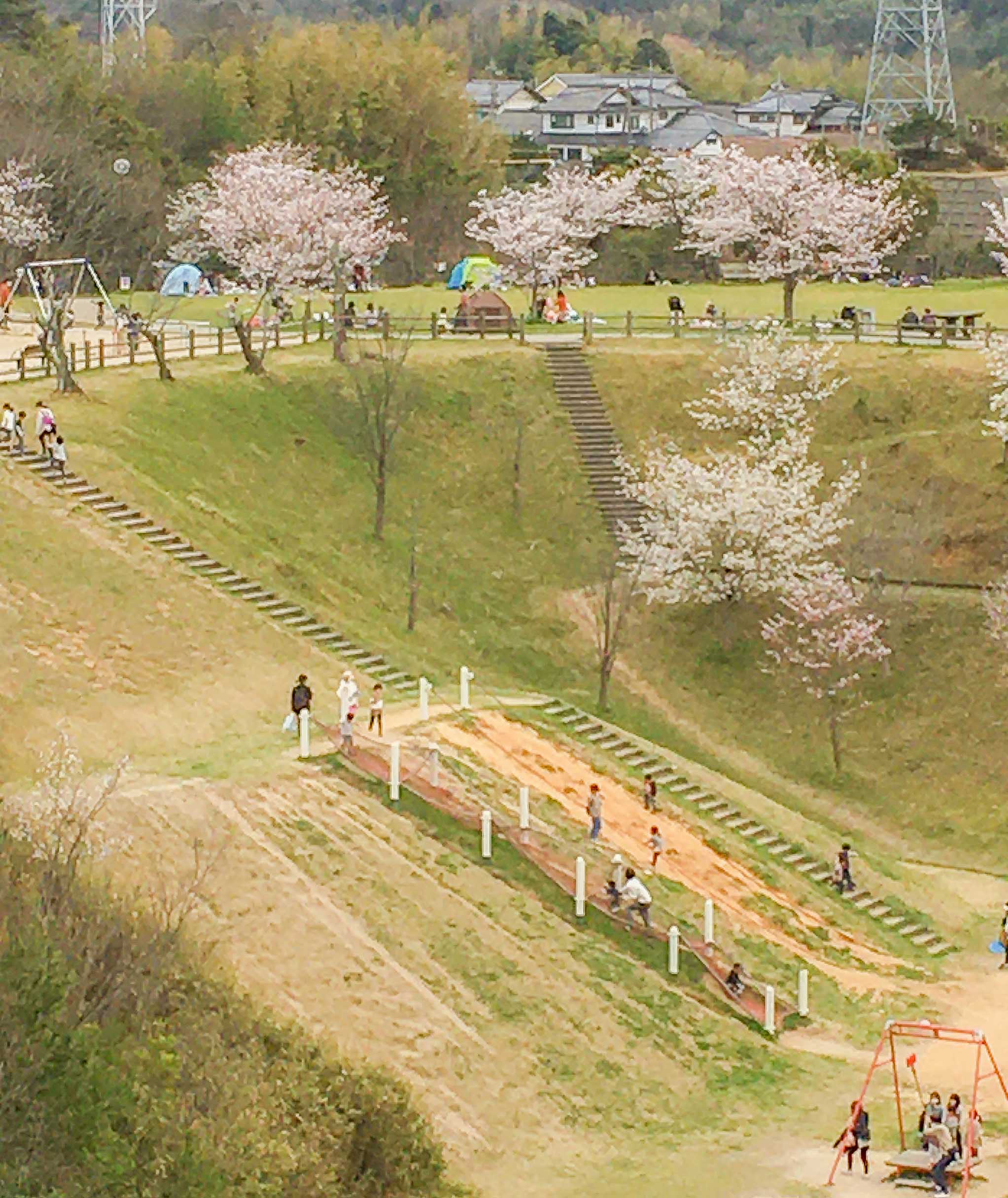 聖教新聞 写真特集