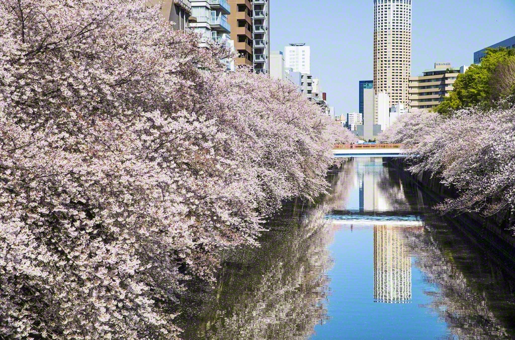 聖教新聞：写真特集