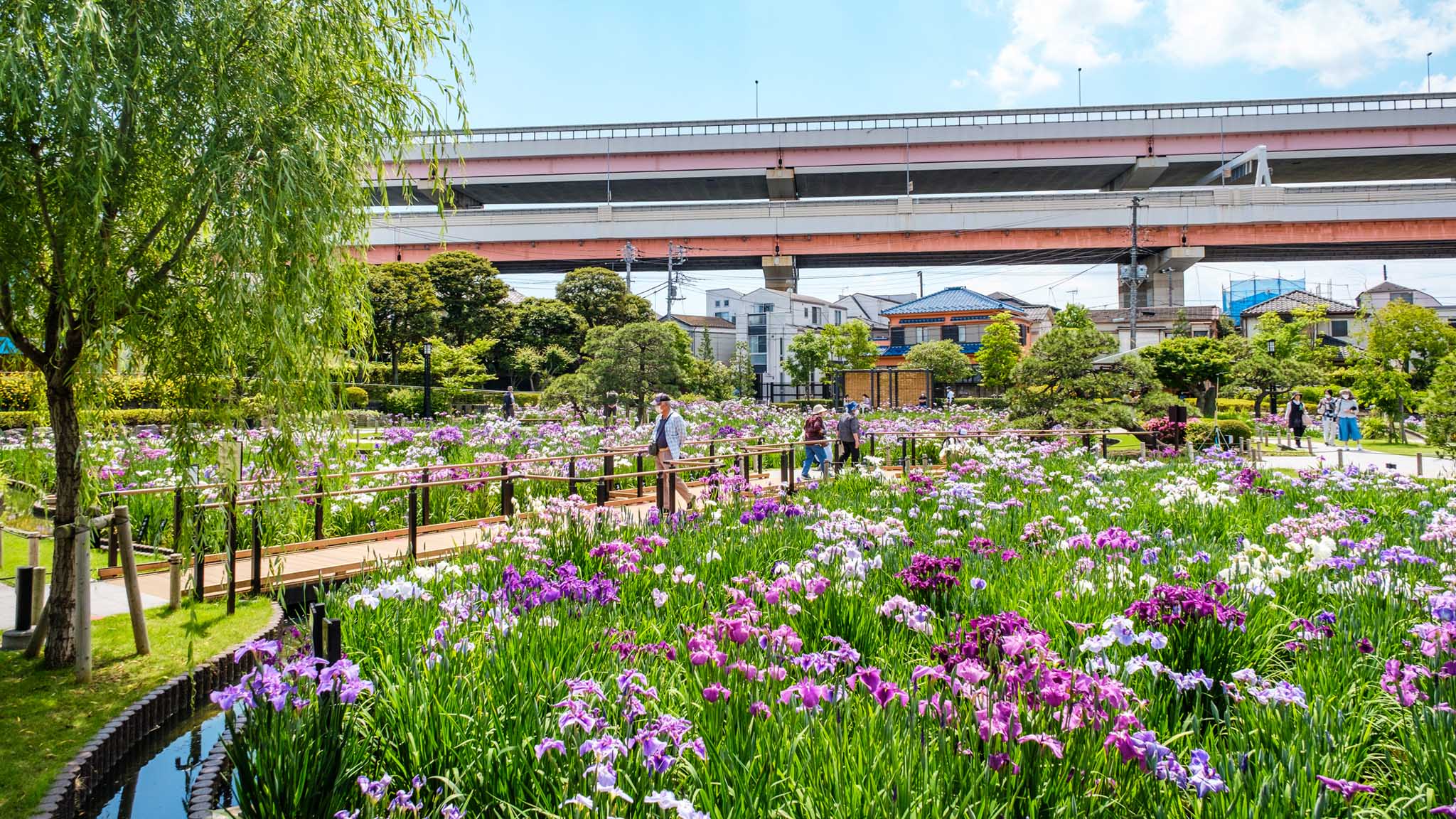 聖教新聞 写真特集