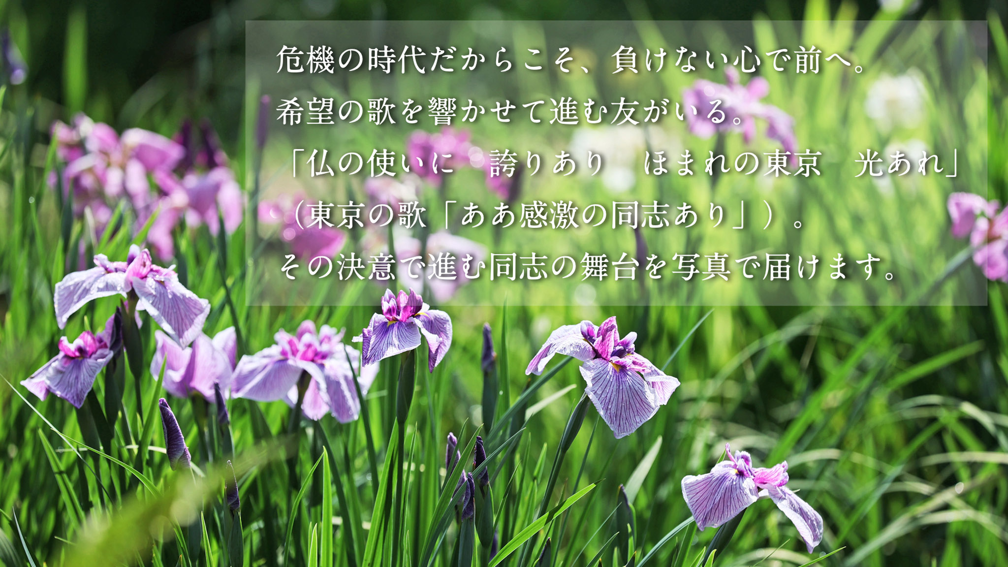 聖教新聞 写真特集