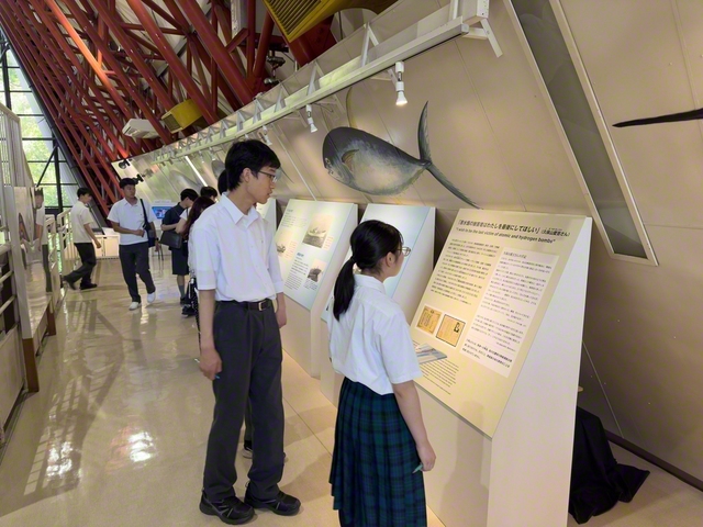 熱心に展示物に目を通す生徒たち