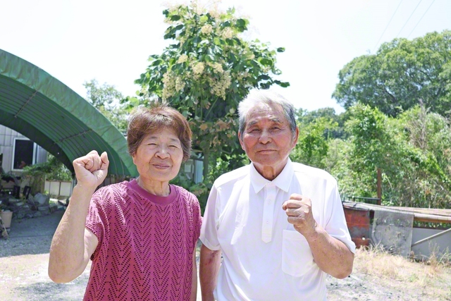 「夫婦であり、“同志”や“戦友”です」と語るヒサ子さん㊧。庭には、夫・昭二さん㊨と育てた被爆アオギリ2世が立つ