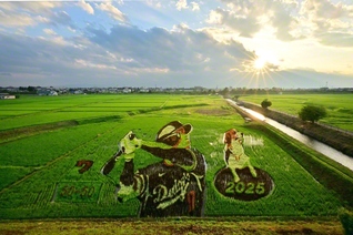 夕日に照らされ、浮かび上がる大谷翔平選手を描いた田んぼアート＝7月5日、岩手県奥州市で