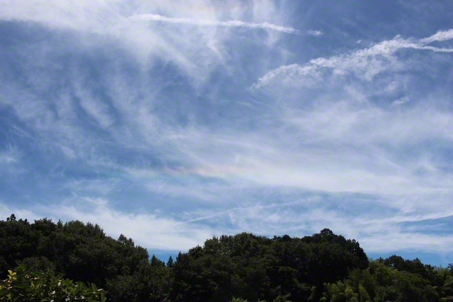 彩雲が輝く（8月2日、飯田市、滝沢契江通信員）