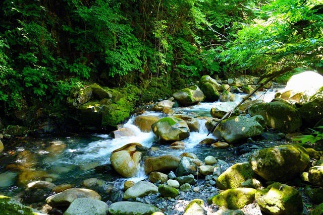 涼やかな渓流（7月31日、安曇野市）