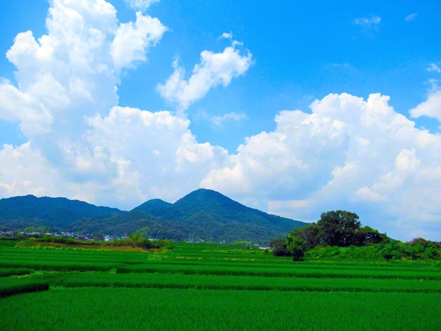 香芝市＝田中一好通信員撮影