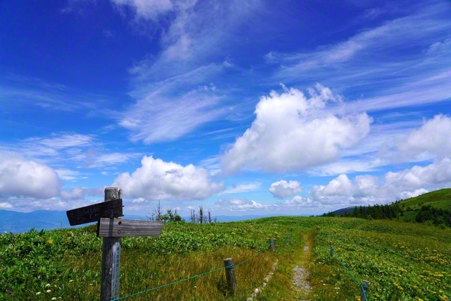 高原の道(8月2日、松本市)