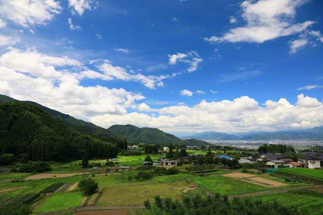 ぷかぷかと浮かぶ雲(8月2日、須坂市、小林充通信員)