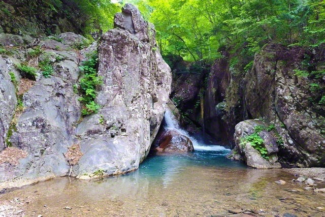 栃木を代表する1級河川・鬼怒川の上流域。すがすがしい緑に包まれ、非日常を味わえる（7月26日、日光市内で。岡田勝俊通信員撮影）
　
