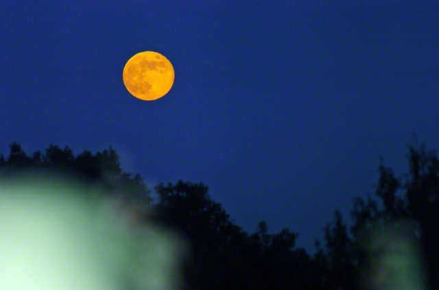きれいに輝くまん丸のお月さまが夜空にうかんでいます。2005年11月、池田先生がカメラに収めました（東京・八王子市で）。先生は満月を少年少女部の姿に重ね、「満月のような笑顔で、世界を、未来を明るく照らしていくのが、みなさんです」と語っています